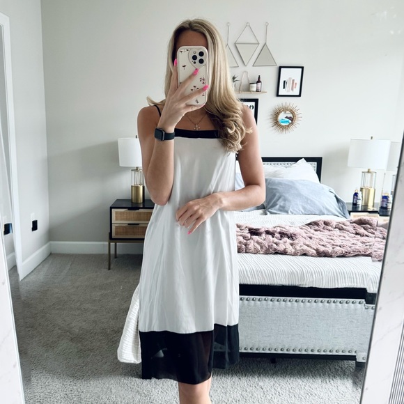 Aritzia Dresses & Skirts - Vintage Aritzia Silver Silk Dress